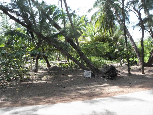 Pictures and images from Andros Island, Bahamas by Mark Erney Pic 14