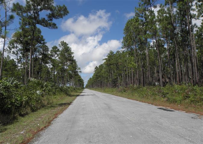 Pictures and images from Andros Island, Bahamas by Mark Erney Pic 2