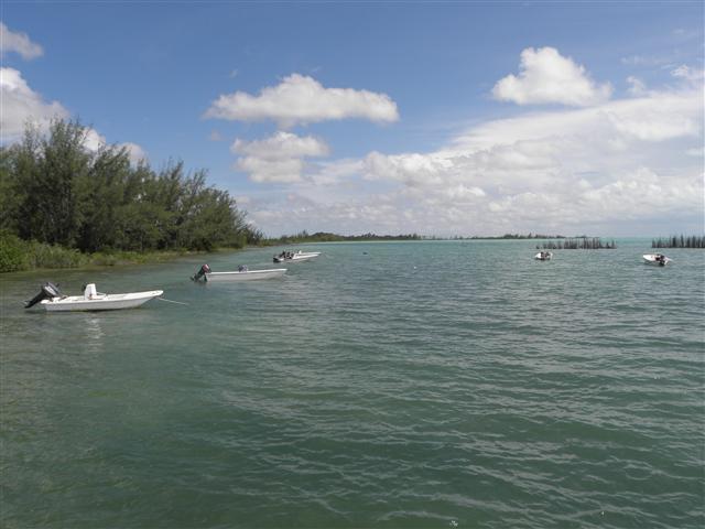 Pictures and images from Andros Island, Bahamas by Mark Erney Pic 4