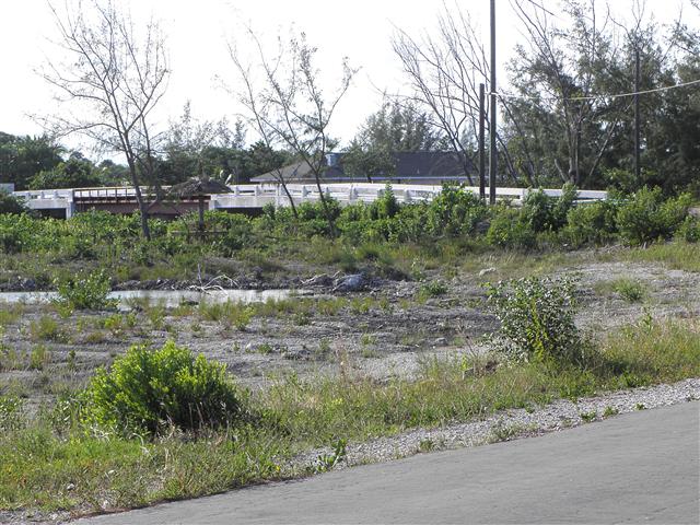 Pictures and images from Andros Island, Bahamas by Mark Erney Pic 9