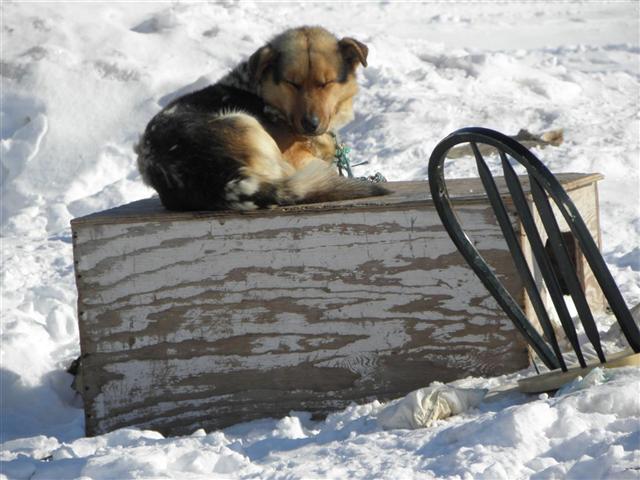 Satellite dish service by Mark Erney for Baker Lake, Nunavut, Canada Gold Mining Camp Picture 17