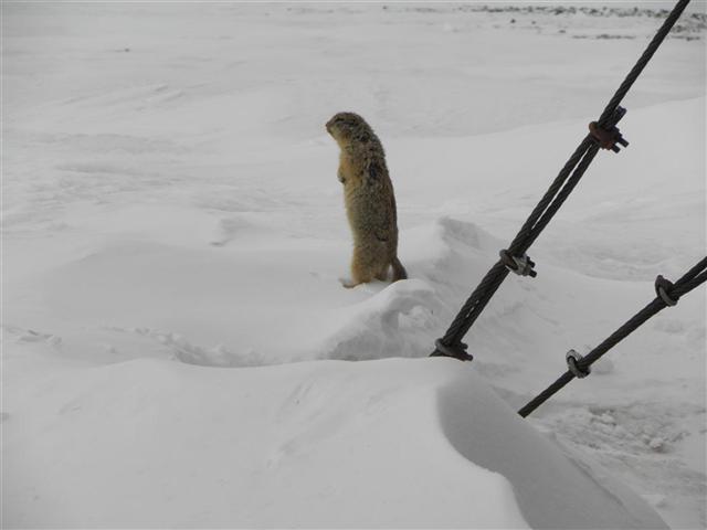 Satellite dish service by Mark Erney for Baker Lake, Nunavut, Canada Gold Mining Camp Picture 22