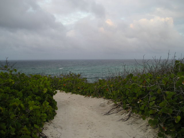 Eleuthera Bahamas Surfers Beach Manor Picture 15