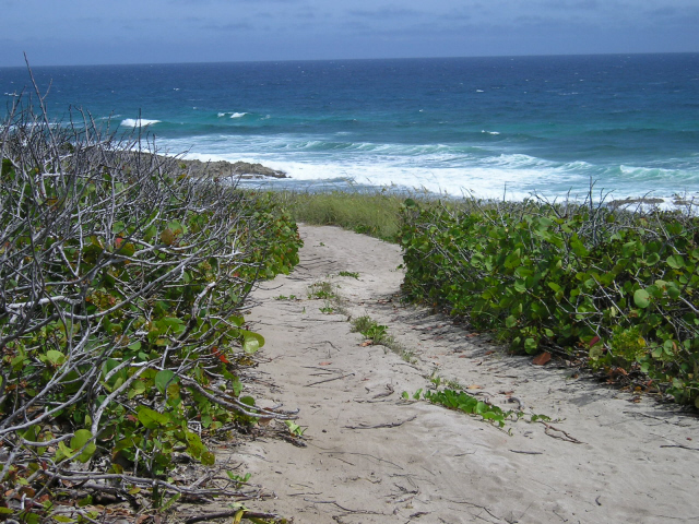 Eleuthera Bahamas Surfers Beach Manor Picture 16