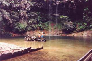 Picture Of Waterfall In National Park In Malaysia